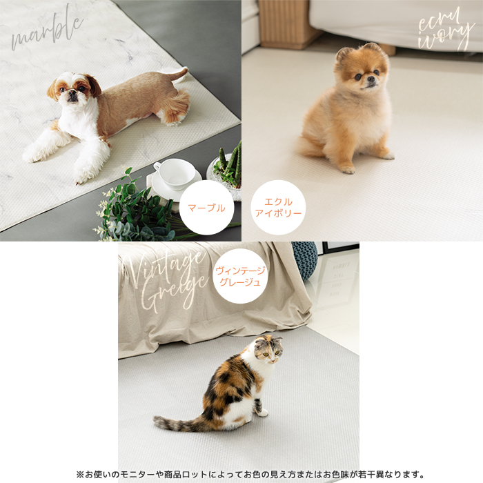 ４色柄の写真